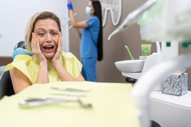 Best Chipped Tooth Repair Near Me  in Niles, MI